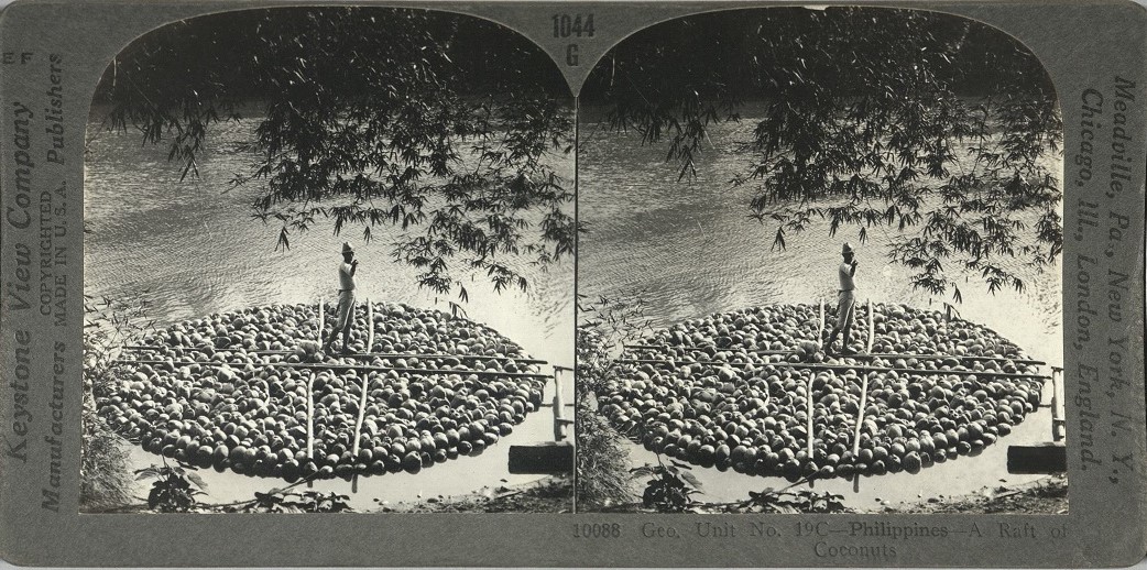 Geo. Unit No. 19C – Philippines – A Raft of Coconuts.
